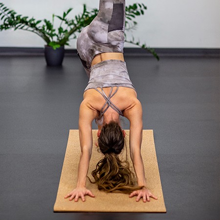 fruehjahr_sommer_kollektion_santa_barbara_crop_top_skinfit
