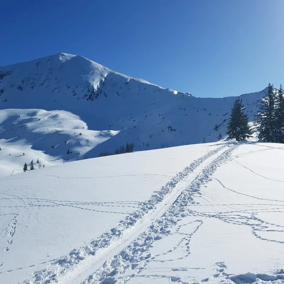 spur-im-schnee-skinfit